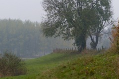 Zeedijk in de herfst